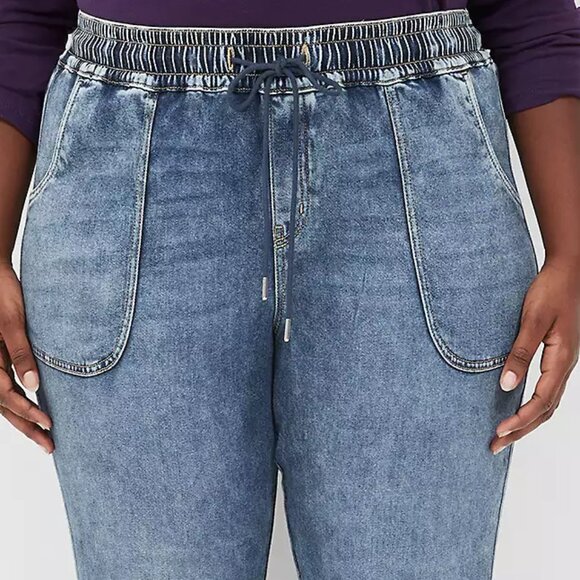 Lane Bryant Pull-On Boyfriend Jogger Jean 26 - Picture 4 of 16